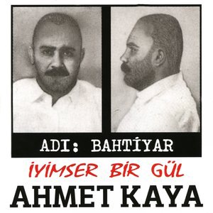 Doğum Günü