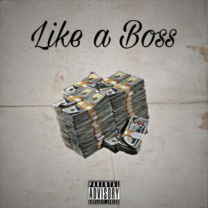 Like a Boss