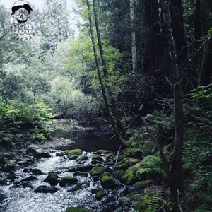 The River Will Remain Cold