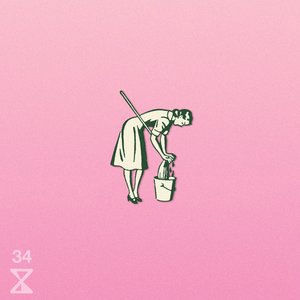 The Cleaning Lady
