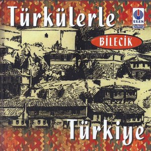 Şu Bursa'nın Kestanesi