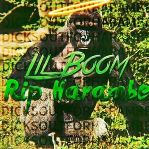 Rip Harambe