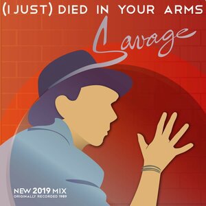(I Just) Died in Your Arms