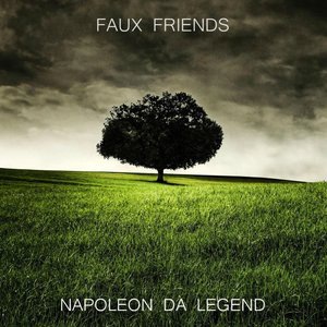 Faux Friends