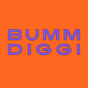 Bumm Diggi