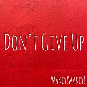 Don't Give Up