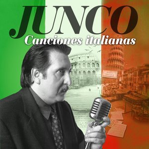 Poco a Poco Me Enamoré de Ti
