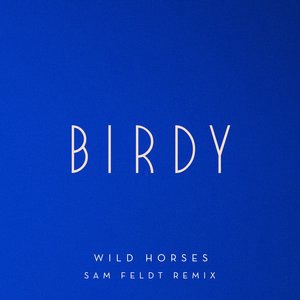 Wild Horses