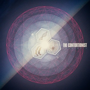 Dreaming Schematics