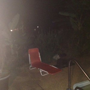 Speak up Bitch
