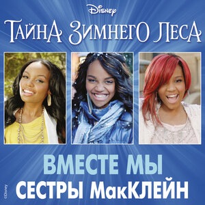 Феи: Тайна зимнего леса