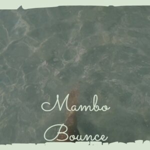 La Jambe De Bois