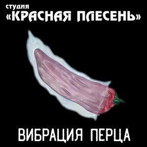 Бен Ладен в бегах