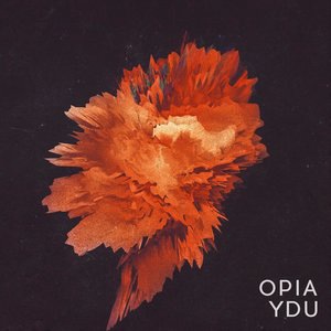 Ydu