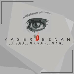 Yeki Mesle Man