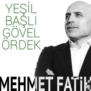 Yeşil Başlı Gövel Ördek
