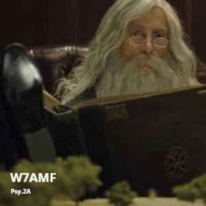 W7Amf