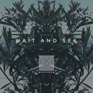Wait and See