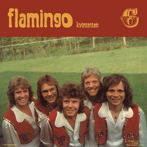 Vägen hem