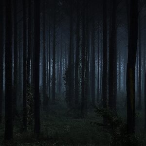 Vanished
