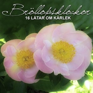 Vart du än går
