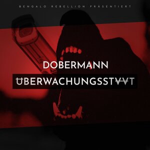 Überwachungsstaat