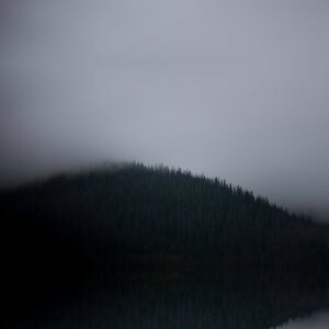 Radio Silence