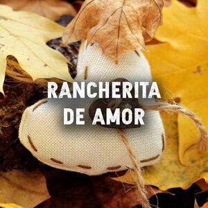 Mi Rechazo