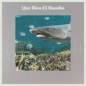 Que Rico El Mambo