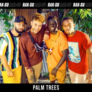 Palm Trees