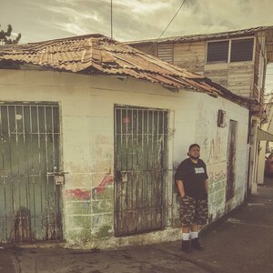 Palos en la Mente