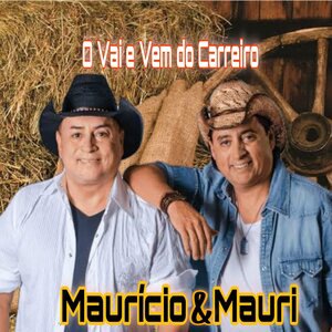O Vai e Vem do Carreiro