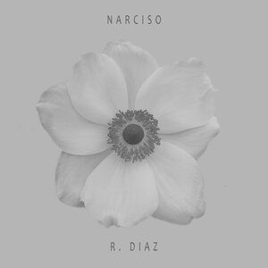 Narciso