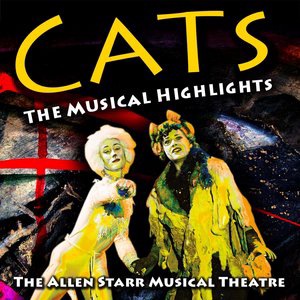 Macavity the Mystery Cat