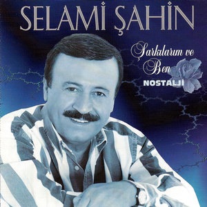 Seni Seviyorum Anlıyormusun