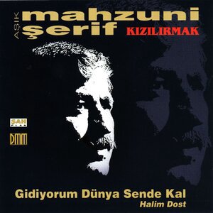 Bilemezsin