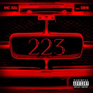 223