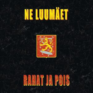 Siinä on punk Kari