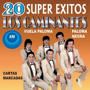 Las Gaviotas