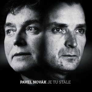 Pihovatá dívka