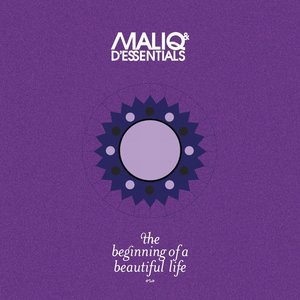 Beautiful Life
