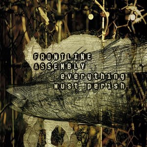 Everything Must Perish - Radio Edit