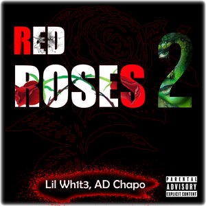 Red Roses 2