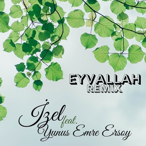 Eyvallah