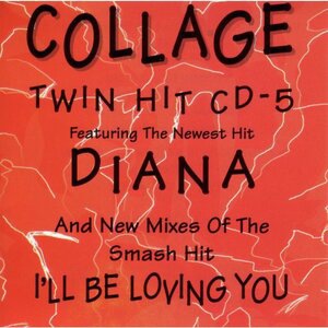 I'll Be Loving You - Spanish Mix