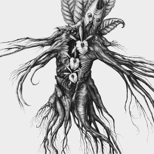 Nourishing the Fetus (Mandragora IV)