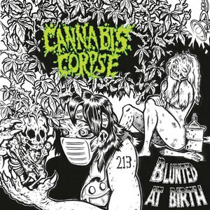 Reefer Stashed Place