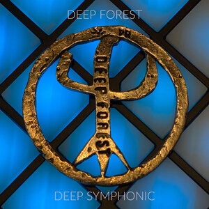 Deep Forest