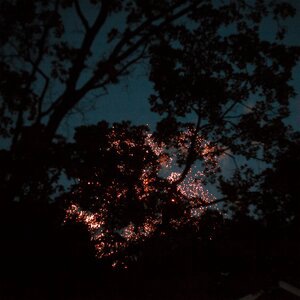 Worth