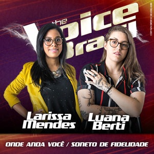 Onde Anda Você / Soneto De Fidelidade
